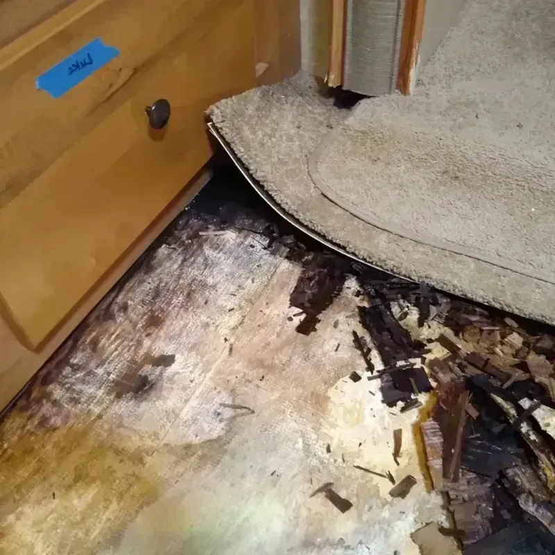 Wood Floor Water Damage in Carbon County, WY